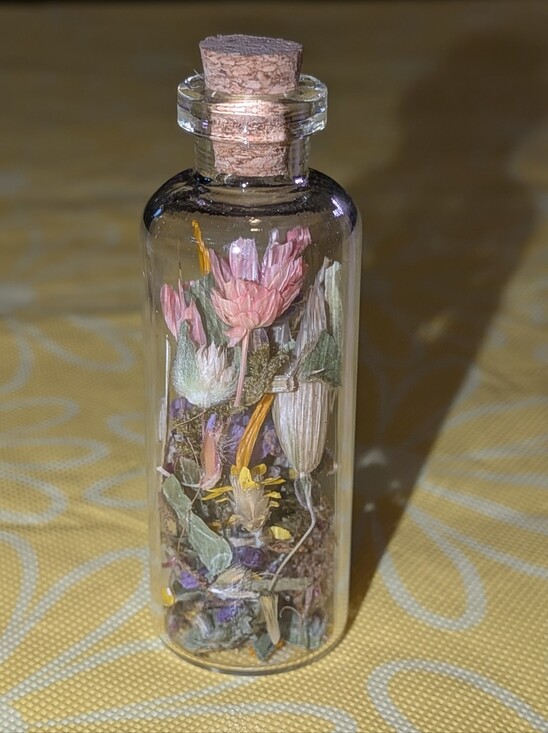 Handmade Other - Tiny Handmade Terrarium